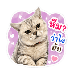 Sasikarn_20260430221757