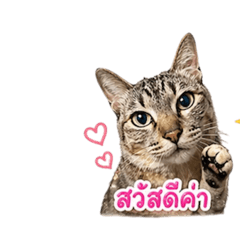 MMAY_20260430223022