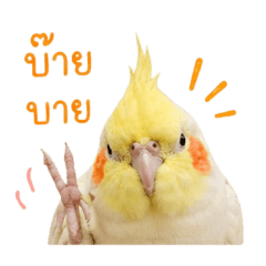 Feeling_20260430224301