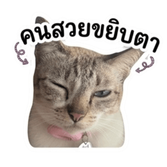 Mimi_20260430224427