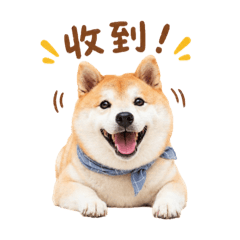 迪咖今天也努力營業中！