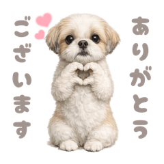 DOG STAMP ORDER_20260615164914