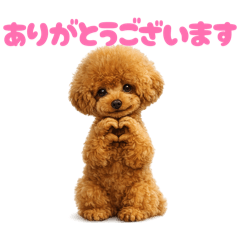 DOG STAMP ORDER_20260615165837