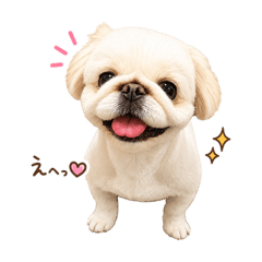 kana_20260530155950