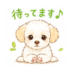 Mao_20260530155725