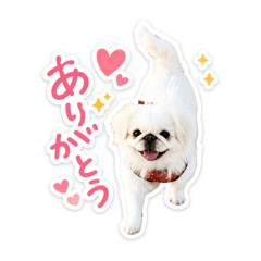 kana_20260530161405