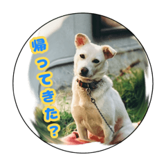 miho_20260530175356