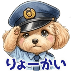 Everyday Toy Poodle Replies