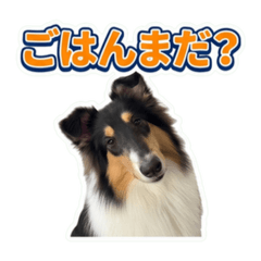 Yun_20260530181356