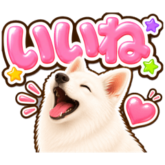 Yozora_20260530182448