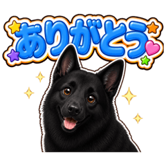 Yozora_20260530183240