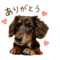 MAYU_20260530185004