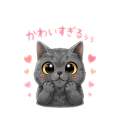 yuto_20260530190558