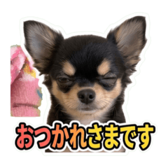 MASA_20260530191920