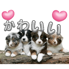 SUZU_20260530203743