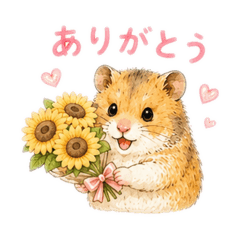momo_20260530220227
