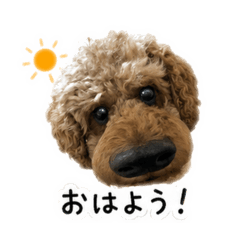 momo_20260530223454