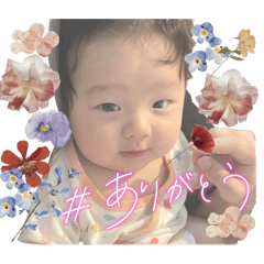 K_20260530224458