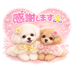moo_20260531093426