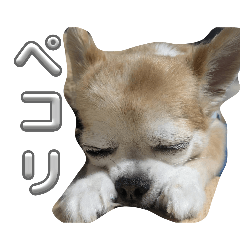 ikura_20260531112920