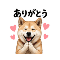 fukuyoshi_20260531152701