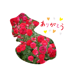 rei_20260531155317