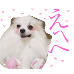 ishikubokee