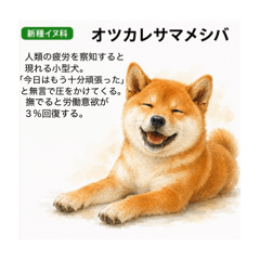 notti_20260531172033