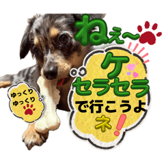 SHOUGN_20260531175153