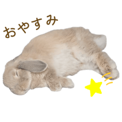 yurie_20260531202647