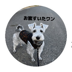 keru_20260531204216
