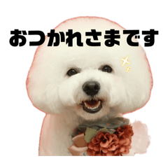 riyu_20260531223215