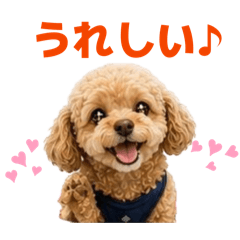 Cherry8311_20260531233044