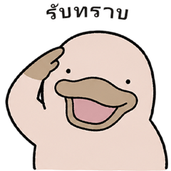 ใช้บ่อย｜ตุ่นปากเป็ดนุ่ม ๆ