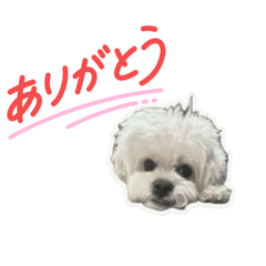 Saya_20260531214956