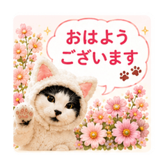 chobibi_20260531214813