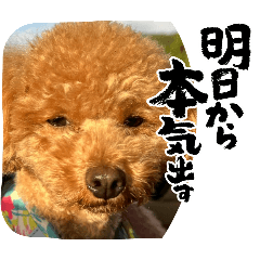 miho_20260531220609