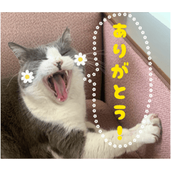 fumi fumi_20260601013800