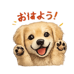 IidaStyle_20260530223611