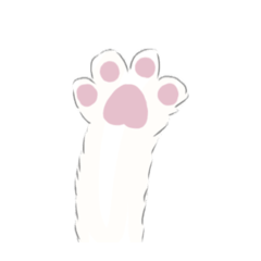 Various cat paw prints
