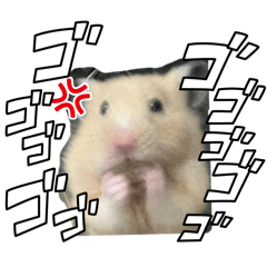 rikkachun_20260531184723