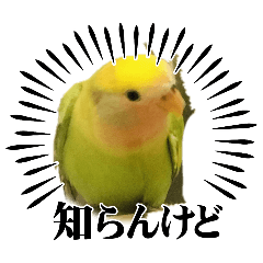 meromama_20260531191344