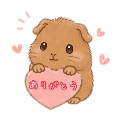 TeTechan(Guinea pig)