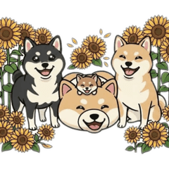 shibainu&nishiafu channel