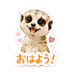 動物だぁ