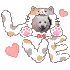 LEON_20260601122639