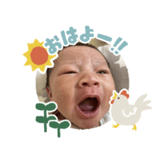 miki_20260601175341