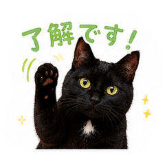 riku_20260601113421