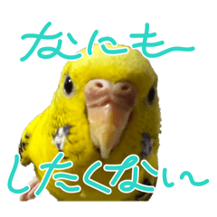 sao_20260601185015