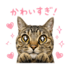Nya_____
